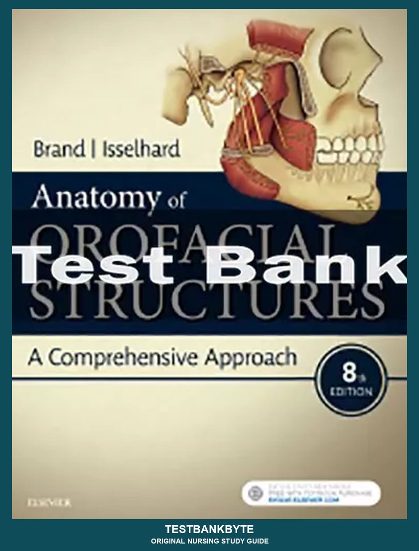 Anatomy & Physiology Master Study Guide — 8th-Edition Curriculum (Vol. 2)