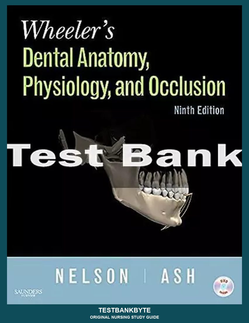 Anatomy & Physiology Master Study Guide — 9th-Edition Curriculum (Vol. 3)