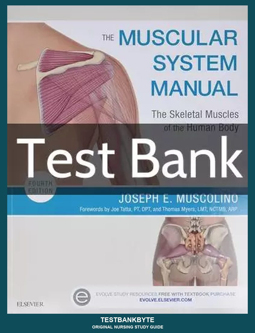 Nursing Concepts Master Study Guide — 4th-Edition Curriculum (Vol. 16)